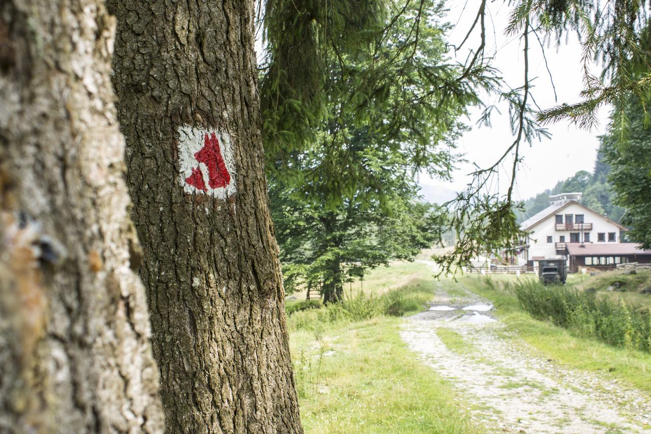 Willa Cabana Barlogul Lupilor Berevoesti Zewnętrze zdjęcie